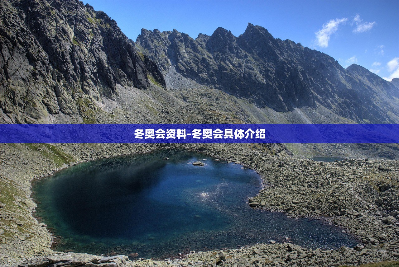 冬奥会资料-冬奥会具体介绍