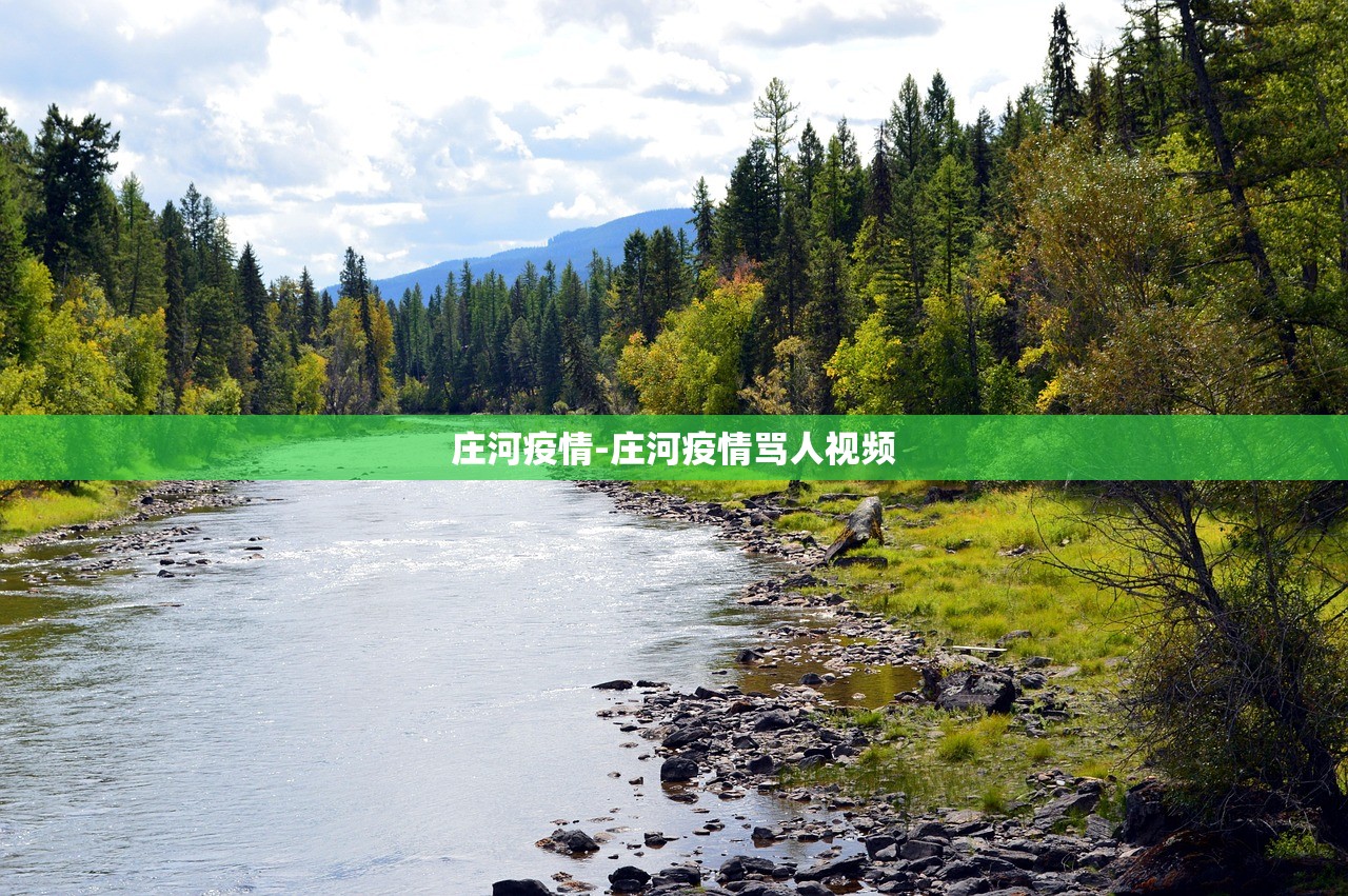 庄河疫情-庄河疫情骂人视频 庄河疫情-庄河疫情骂人视频