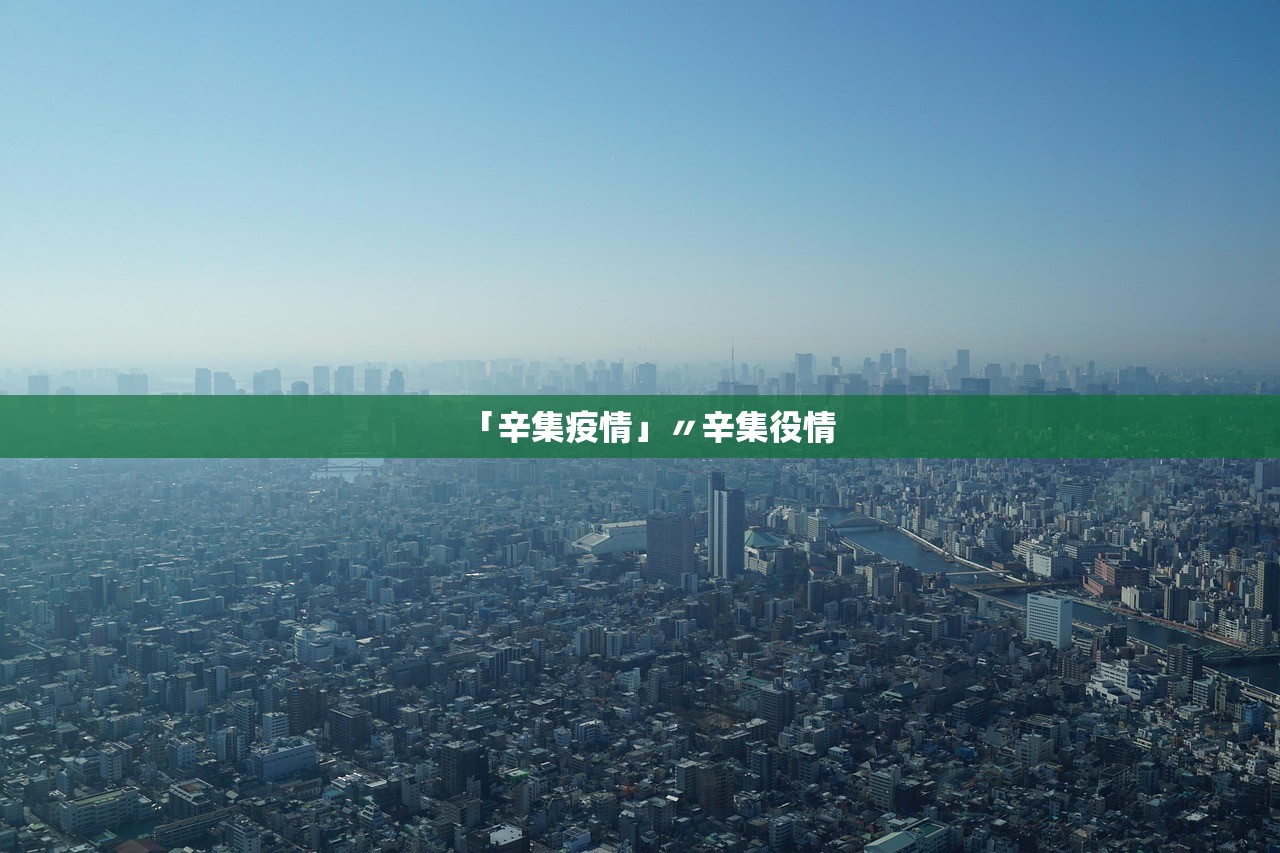 「辛集疫情」〃辛集役情