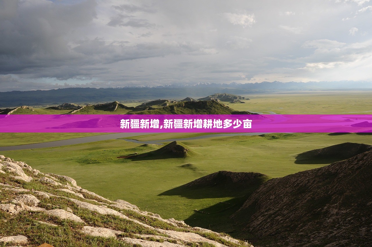 新疆新增,新疆新增耕地多少亩
