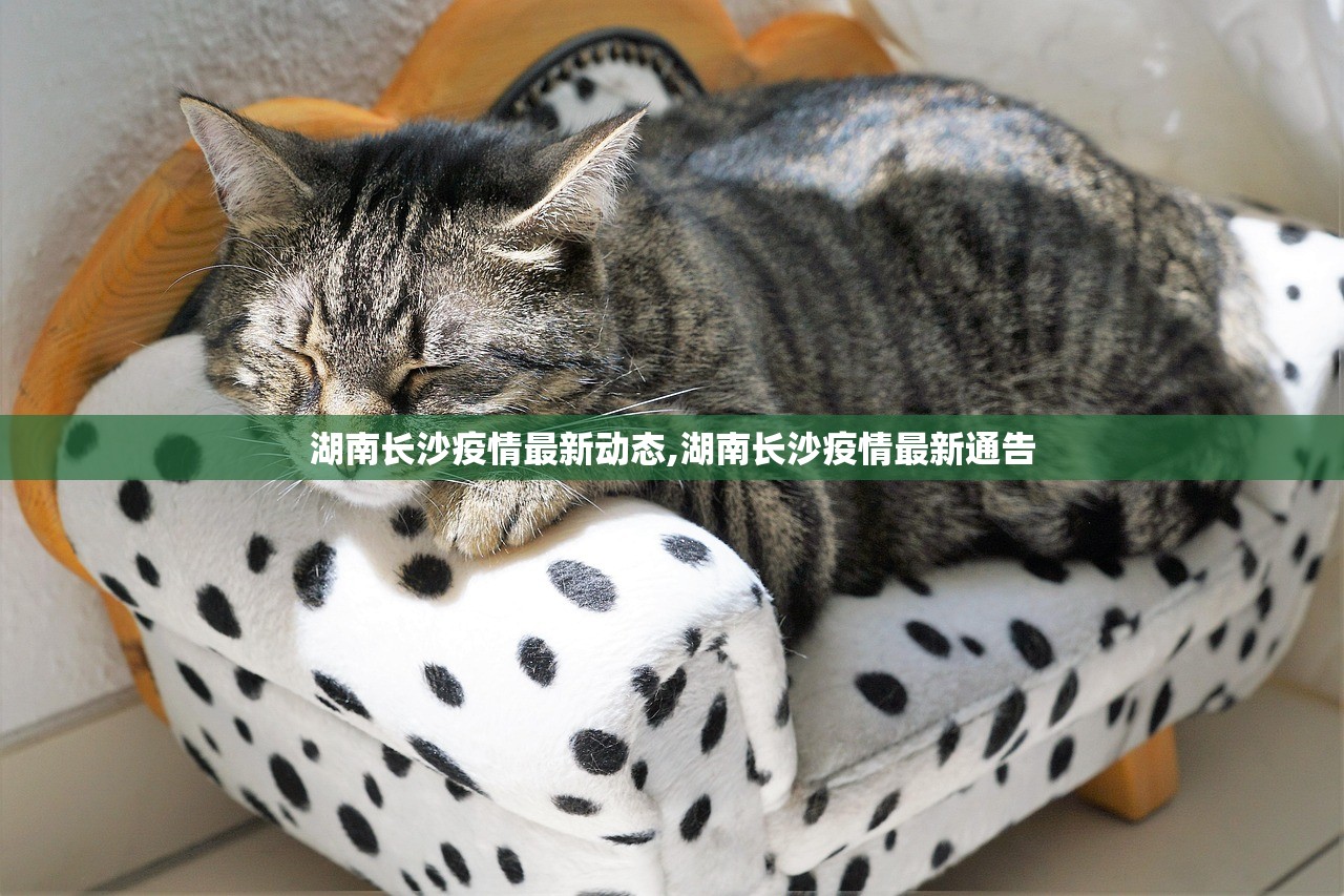 湖南长沙疫情最新动态,湖南长沙疫情最新通告