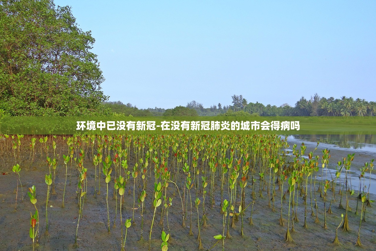 环境中已没有新冠-在没有新冠肺炎的城市会得病吗 环境中已没有新冠-在没有新冠肺炎的城市会得病吗