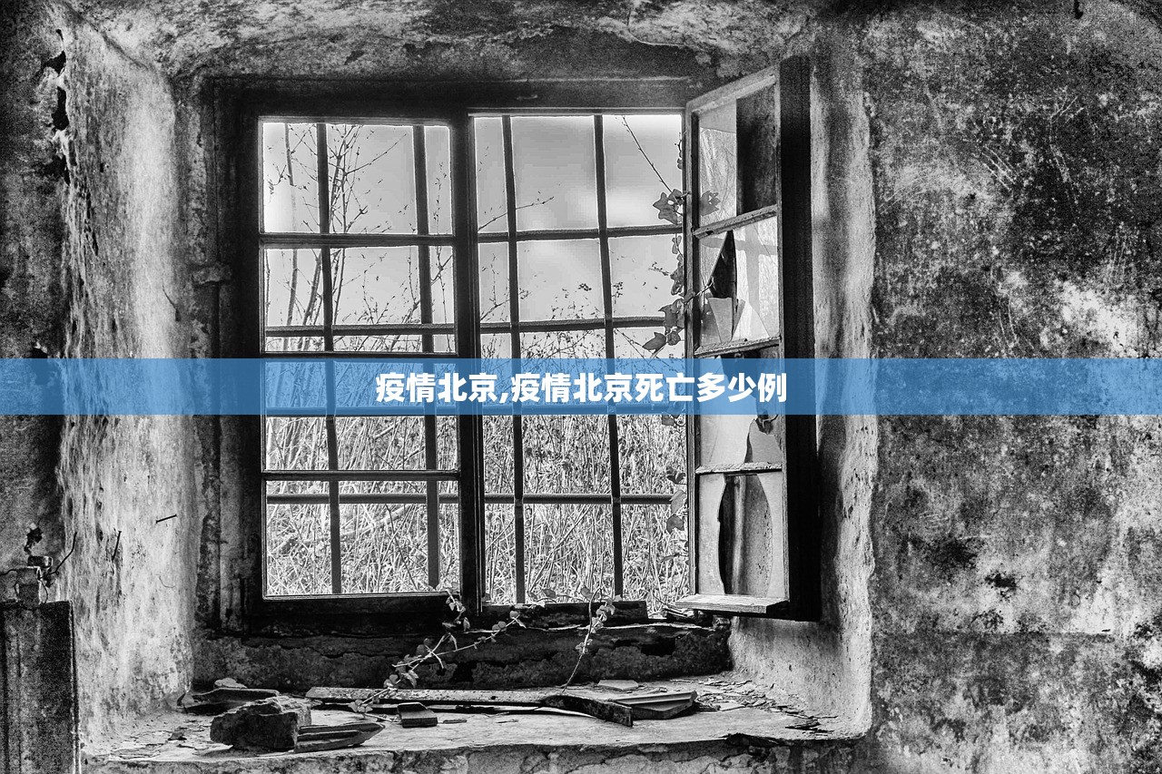 疫情北京,疫情北京死亡多少例