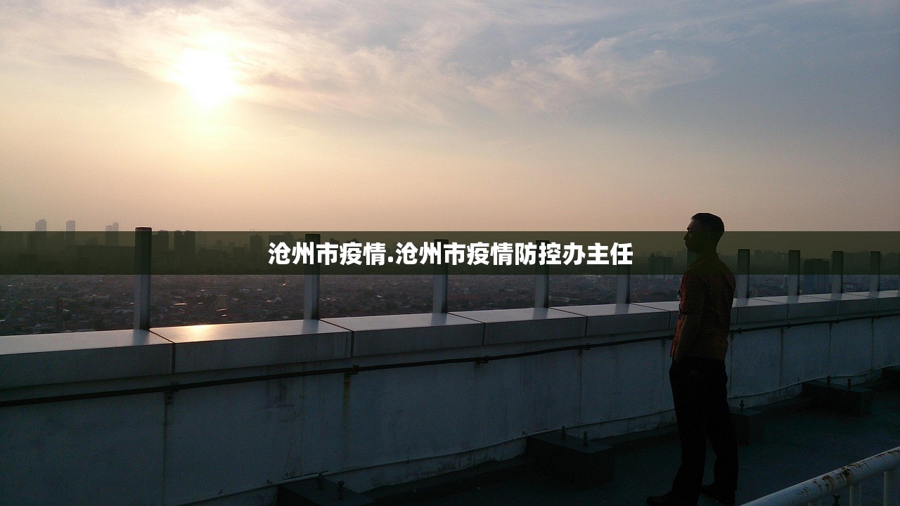 沧州市疫情.沧州市疫情防控办主任