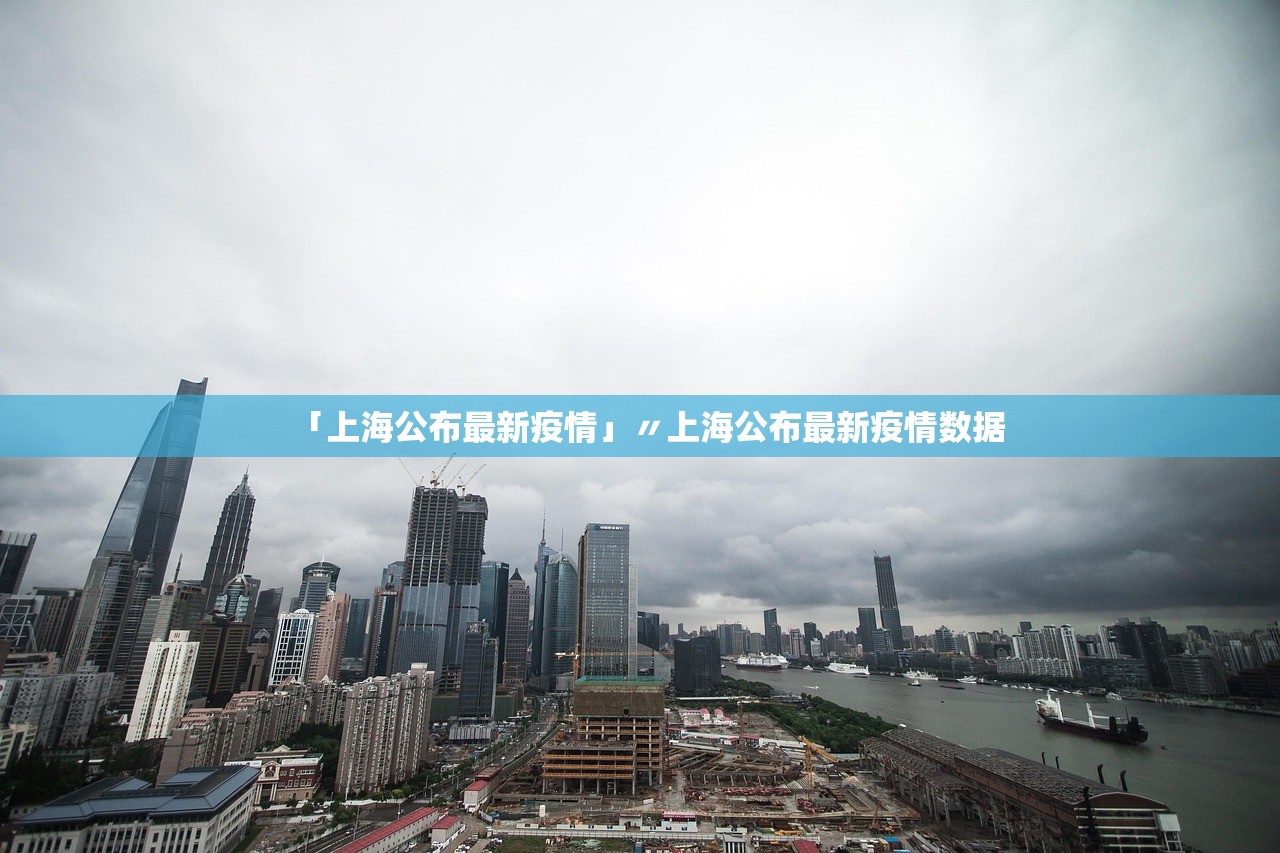 「上海公布最新疫情」〃上海公布最新疫情数据