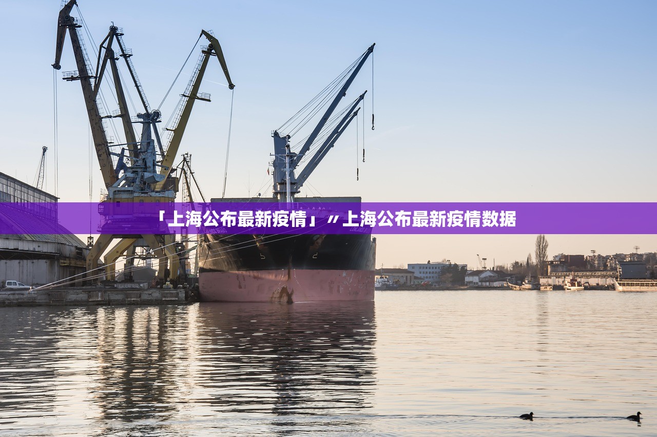 「上海公布最新疫情」〃上海公布最新疫情数据