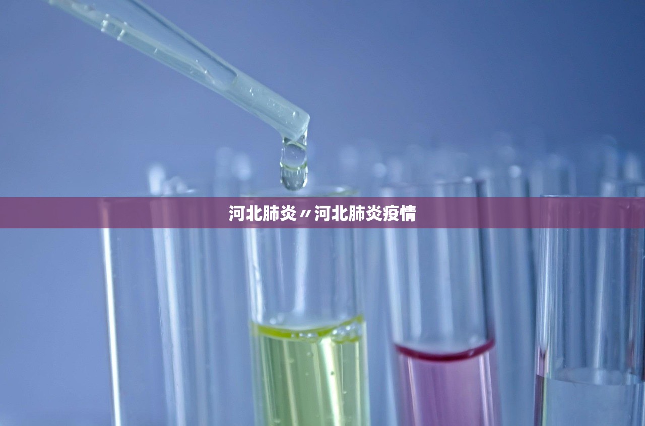 河北肺炎〃河北肺炎疫情