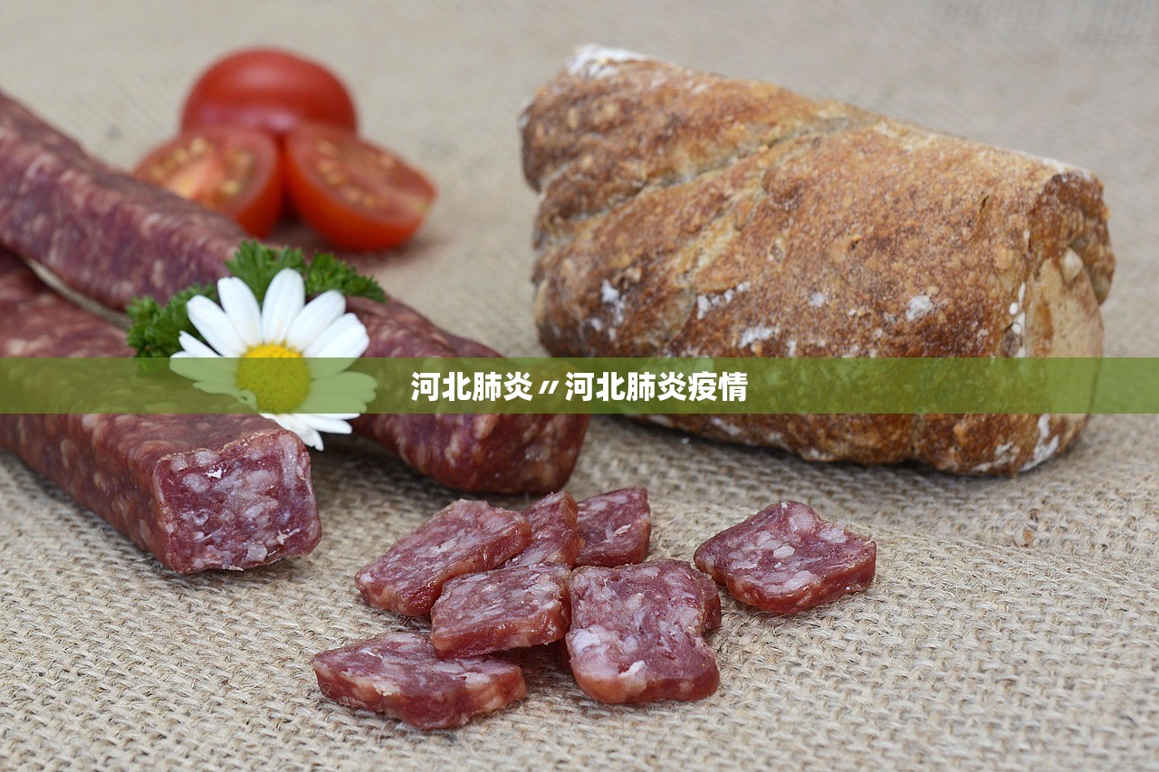 河北肺炎〃河北肺炎疫情