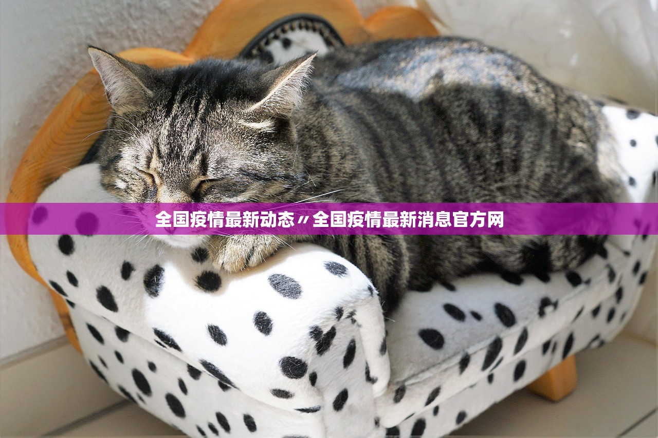 全国疫情最新动态〃全国疫情最新消息官方网